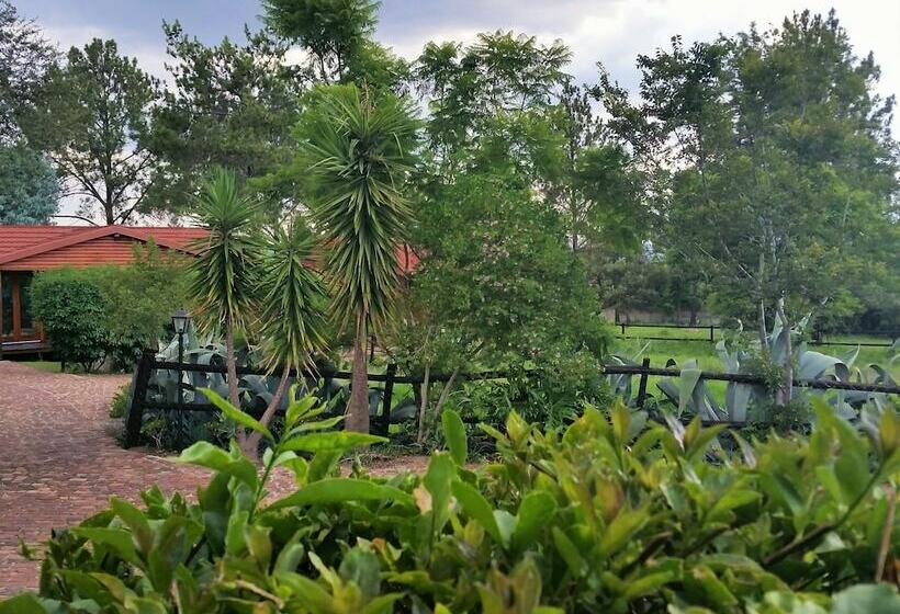 １ベッドルームハウス, Pine Tree Lodge