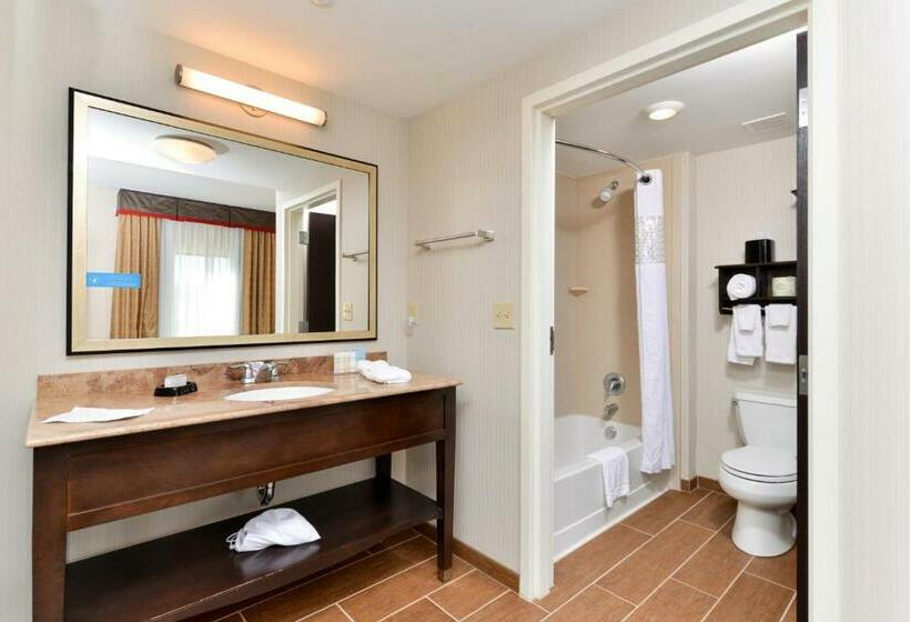 스탠다드 스튜디오 킹침대, Hampton Inn & Suites California Universitypittsburgh