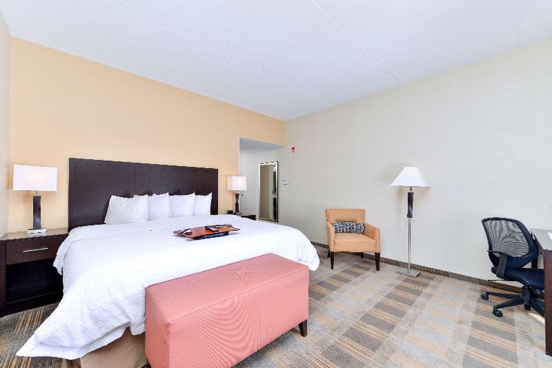 스탠다드 룸 킹사이즈 침대, Hampton Inn & Suites California Universitypittsburgh