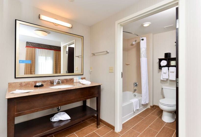 스탠다드 룸, Hampton Inn & Suites California Universitypittsburgh