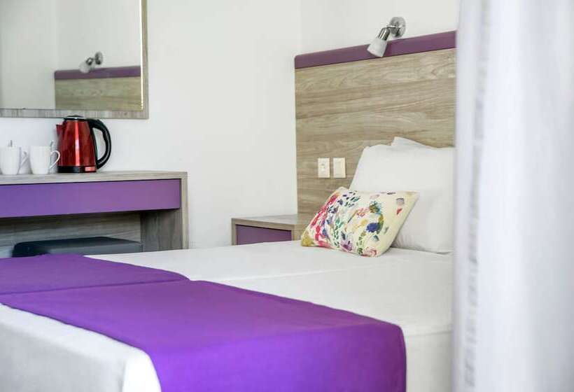 スーペリアの4人部屋, Elsa