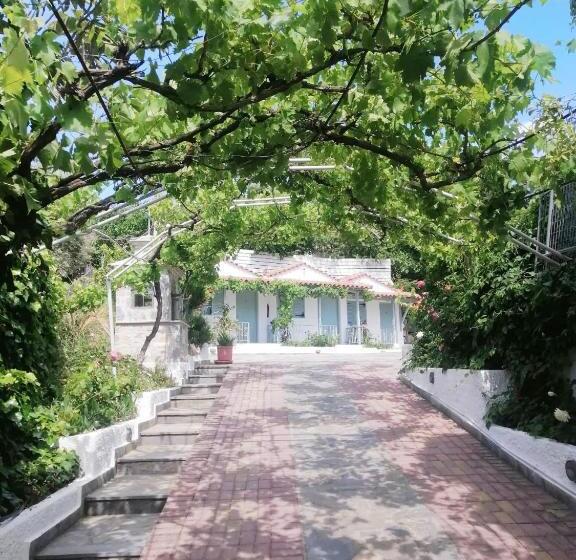 スタンダードバンガロー, Elsa