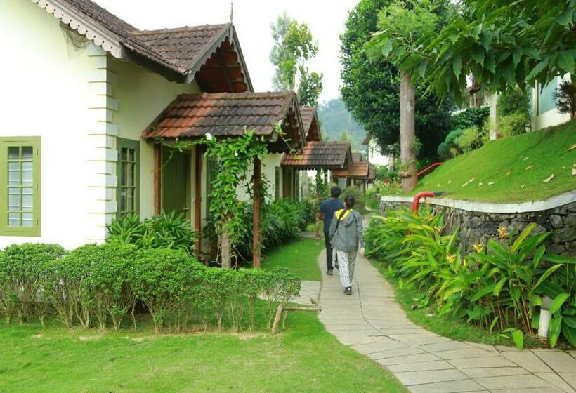 デラックスルーム, Springdale Heritage