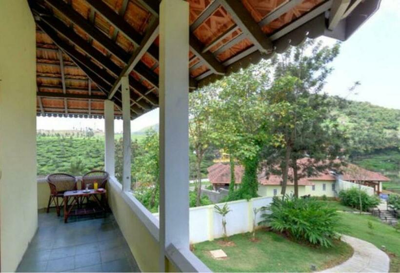 スタンダードルーム, Springdale Heritage