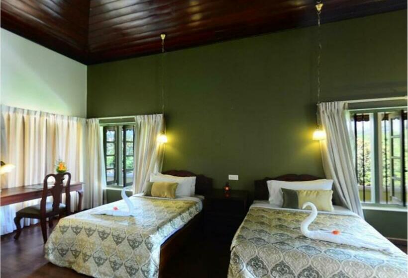 スタンダードルーム, Springdale Heritage