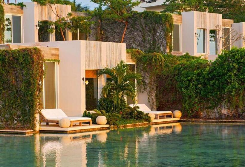 اتاق استاندارد با تخت بزرگ, W Punta De Mita