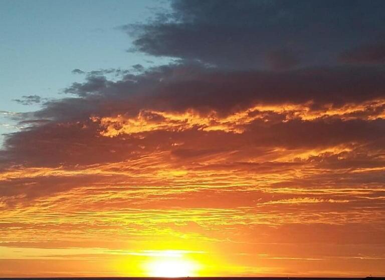 低层单卧公寓, The Dolphin Apartments