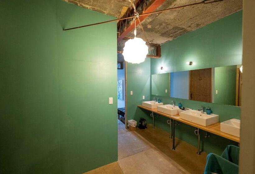 スタンダードルーム, Kamp Houkan Cho Backpacker S Inn & Lounge