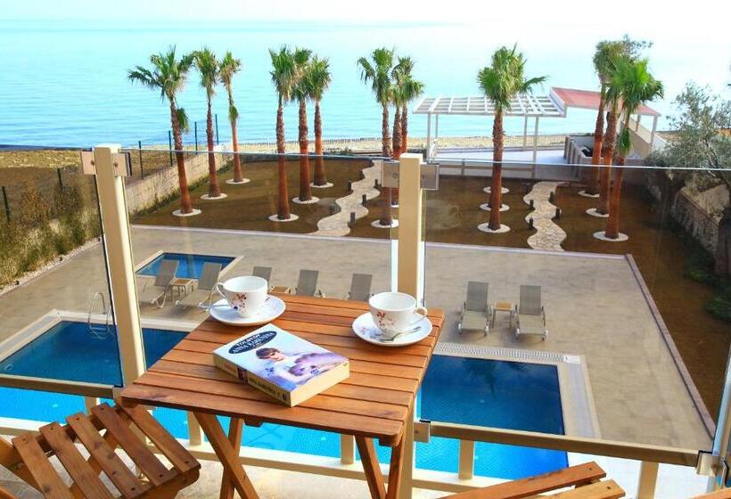 デラックスルーム, Esida