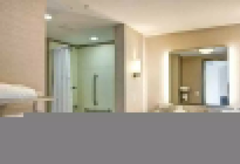 キングサイズベッドのスイートルーム, Homewood Suites By Hilton Christiansburg