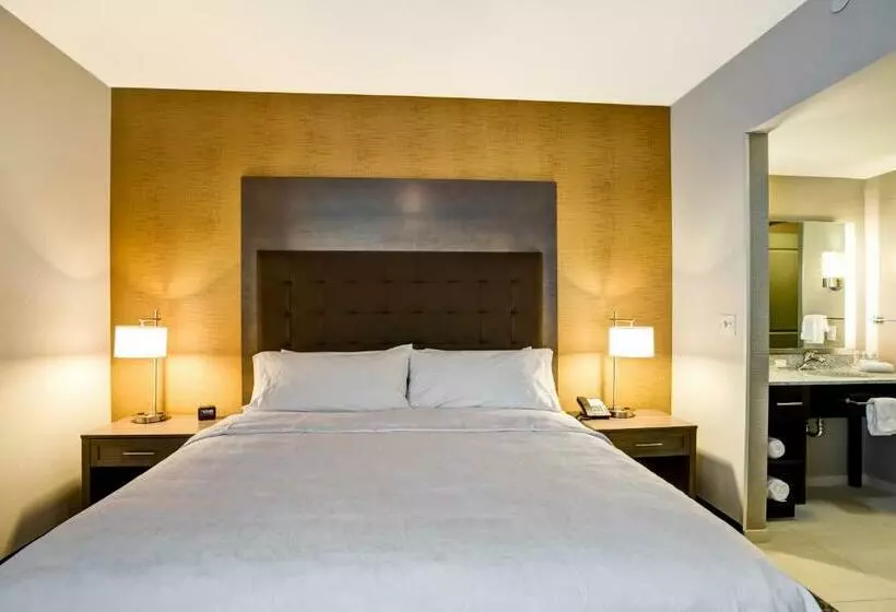 キングサイズベッドのデラックススイート, Homewood Suites By Hilton Christiansburg