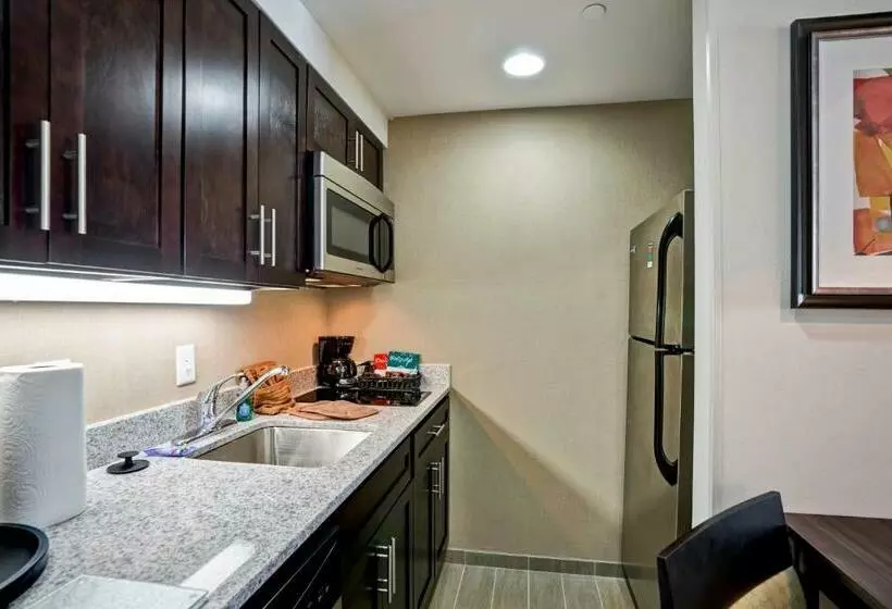 キングサイズベッドのスイートルーム, Homewood Suites By Hilton Christiansburg