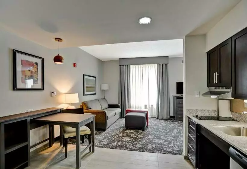 キングサイズベッドのデラックススイート, Homewood Suites By Hilton Christiansburg