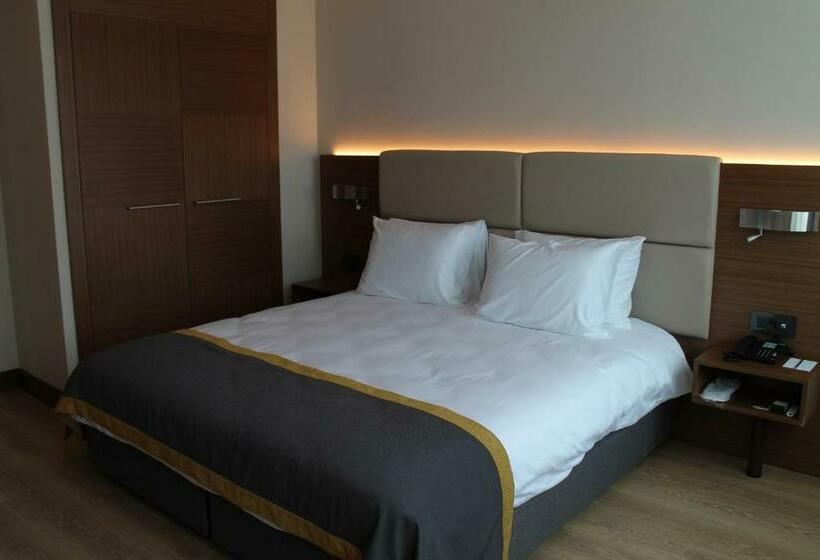 اتاق سوپریور, Nearport Hotel Sabiha Gokcen Airport