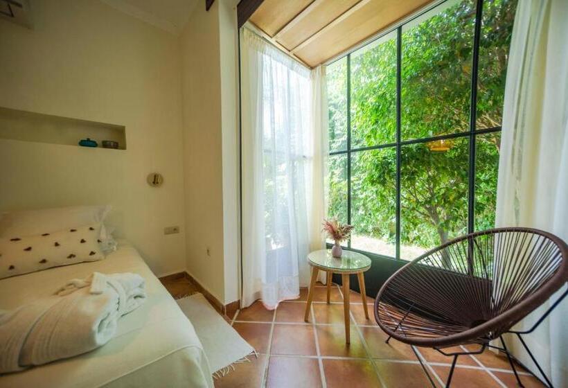 اتاق اکونومی, Dar Tanja Boutique