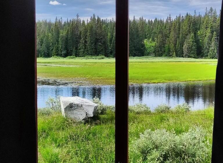 اتاق کلاسیک چهارنفره, Care Camp Lillehammer