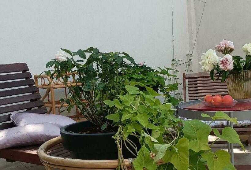 اتاق استاندارد با تراس, Maison Arelate