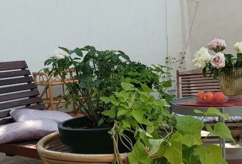اتاق استاندارد با تراس, Maison Arelate