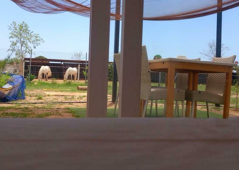 デラックスルーム, Finca Caballito De Mar