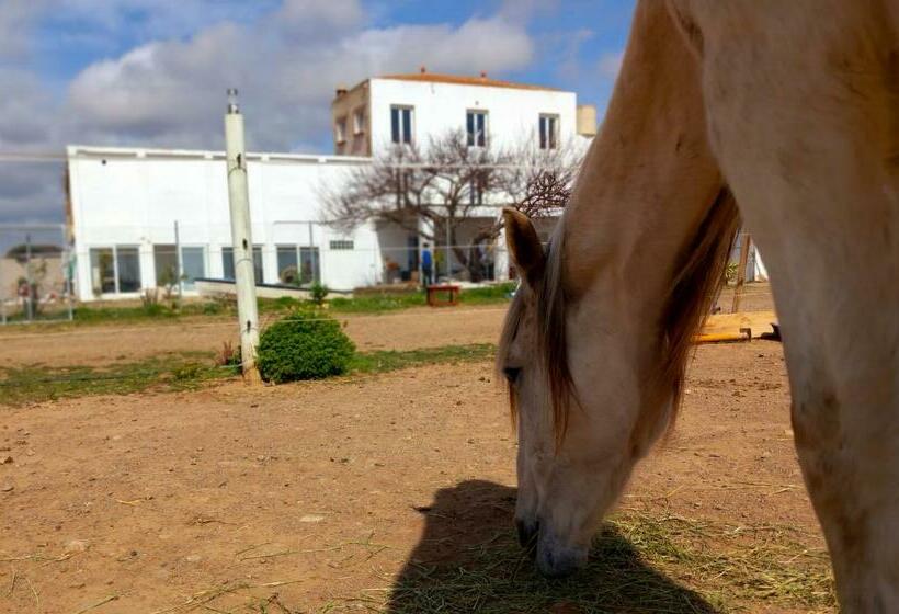 デラックスルーム, Finca Caballito De Mar