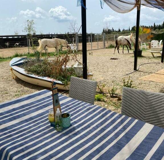 디럭스 룸, Finca Caballito De Mar