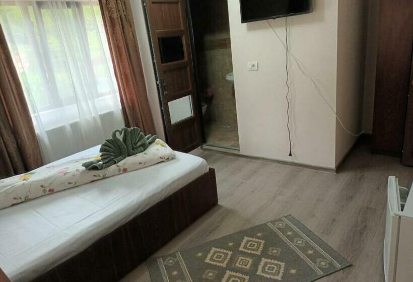 标准间带山景, Casa Peneșel