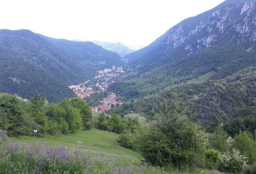 标准间带山景, Casa Peneșel