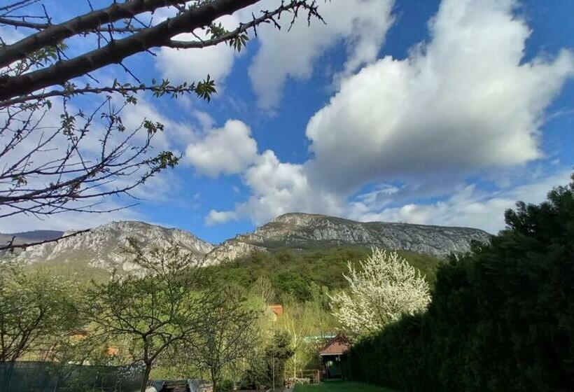 标准间带山景, Casa Peneșel