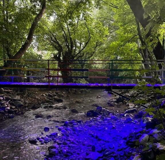 Номер Стандарт, Sakliderebutikotel