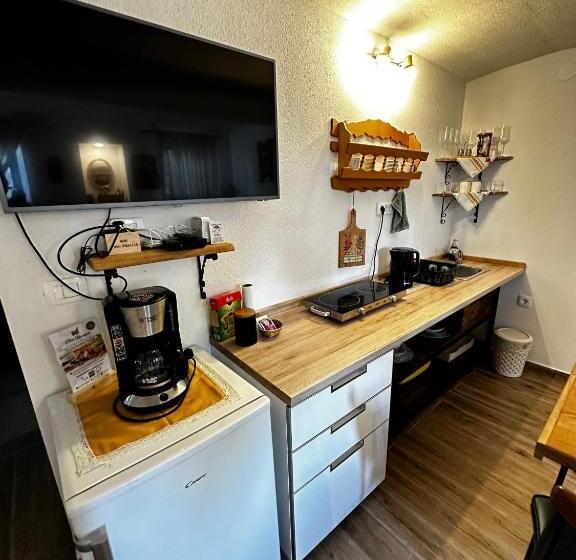 اتاق خانوادگی, Slovenian House Vida