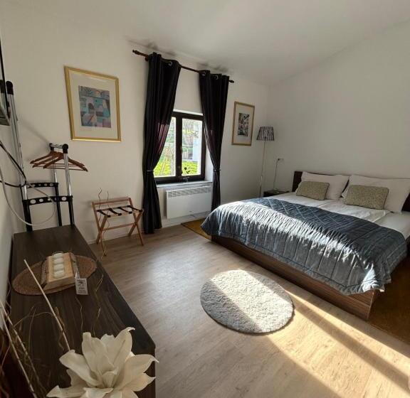 اتاق لوکس, Slovenian House Vida