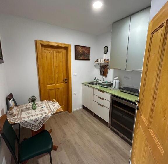 اتاق لوکس, Slovenian House Vida