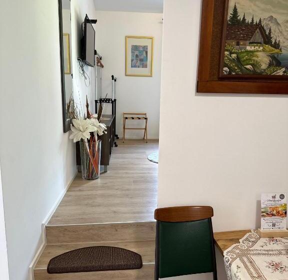 اتاق لوکس, Slovenian House Vida