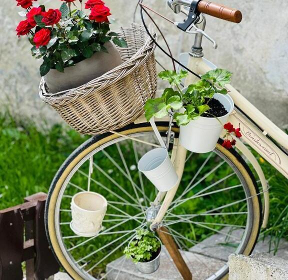 اتاق لوکس, Slovenian House Vida