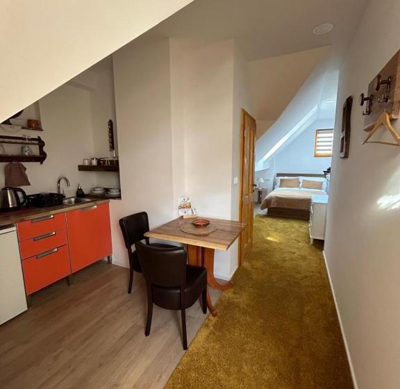 اتاق استاندارد, Slovenian House Vida