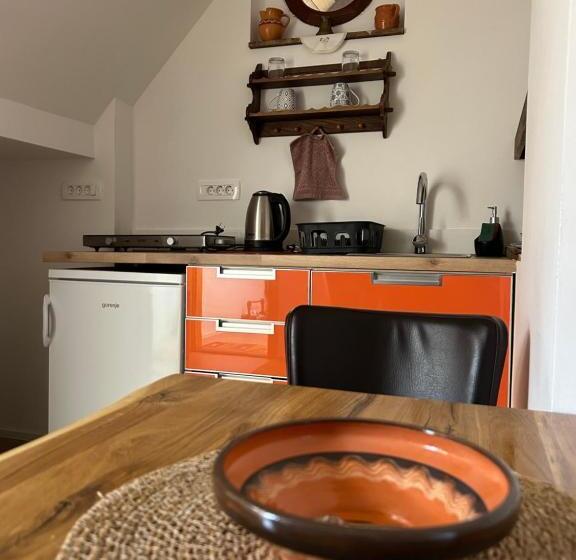 اتاق استاندارد, Slovenian House Vida