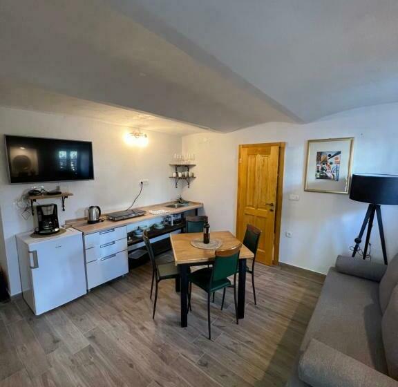 اتاق خانوادگی, Slovenian House Vida