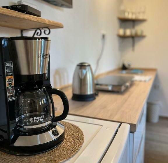 اتاق خانوادگی, Slovenian House Vida