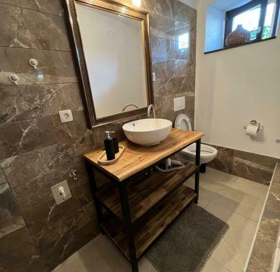 اتاق خانوادگی, Slovenian House Vida