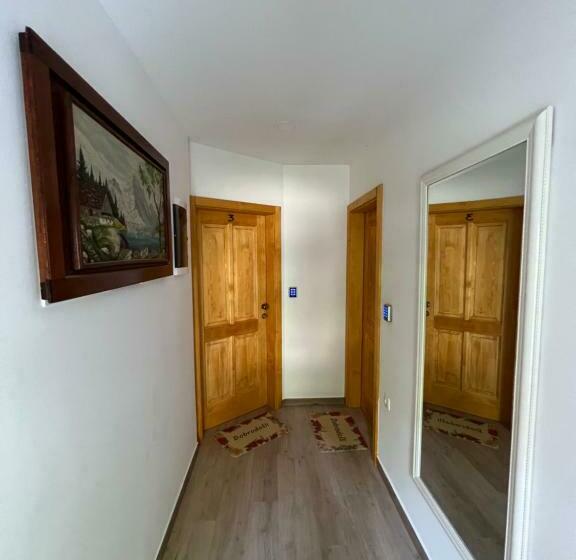 اتاق لوکس, Slovenian House Vida