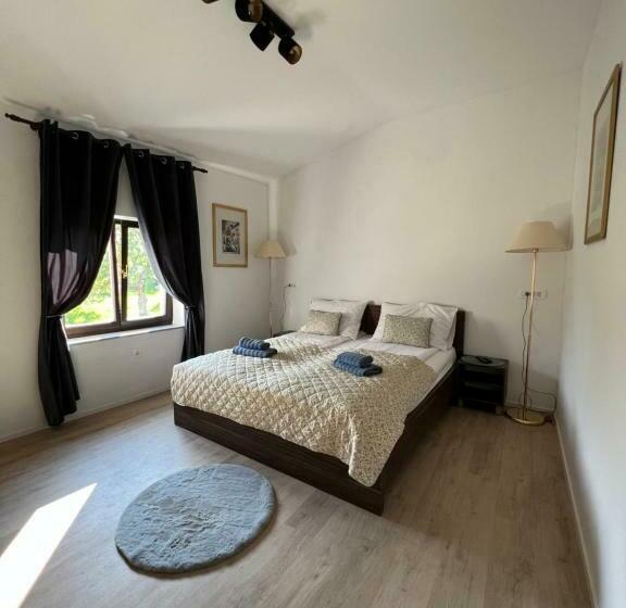 اتاق لوکس, Slovenian House Vida