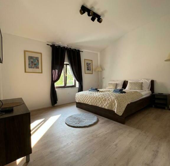 اتاق لوکس, Slovenian House Vida