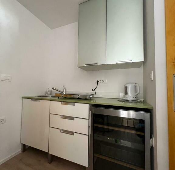 اتاق لوکس, Slovenian House Vida