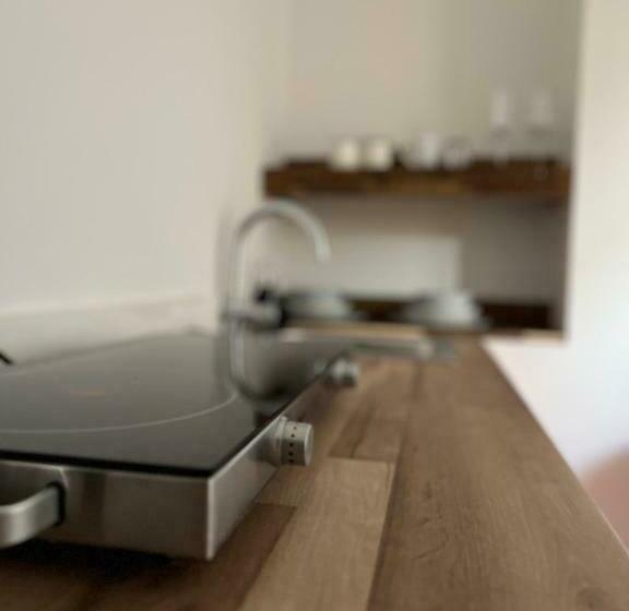 اتاق استاندارد, Slovenian House Vida