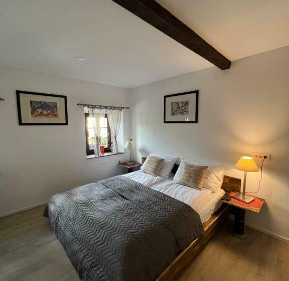 اتاق لوکس, Slovenian House Vida