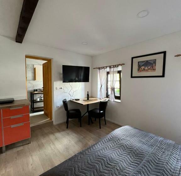 اتاق لوکس, Slovenian House Vida
