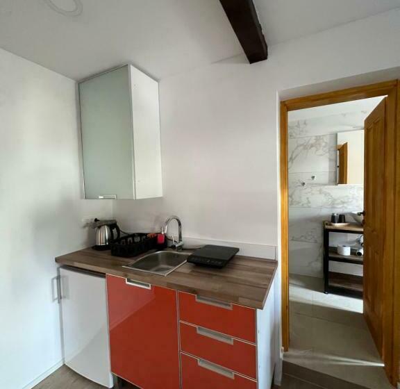 اتاق لوکس, Slovenian House Vida