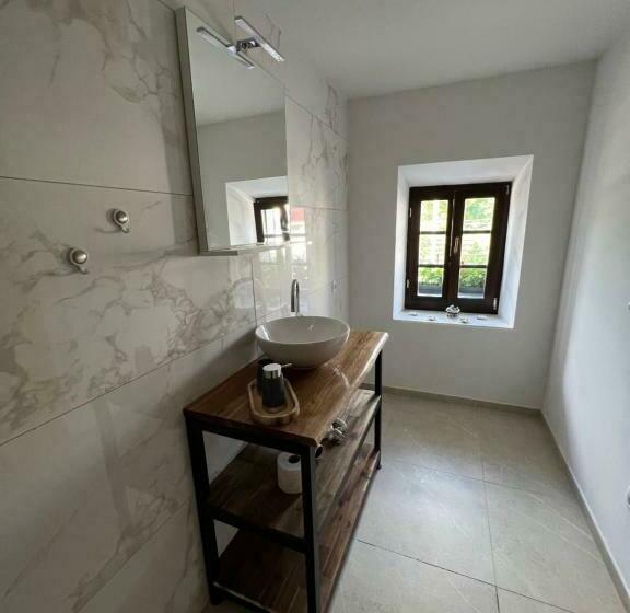 اتاق لوکس, Slovenian House Vida