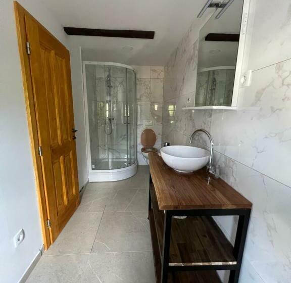 اتاق لوکس, Slovenian House Vida