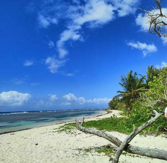 اتاق استاندارد, Les Coulirooms